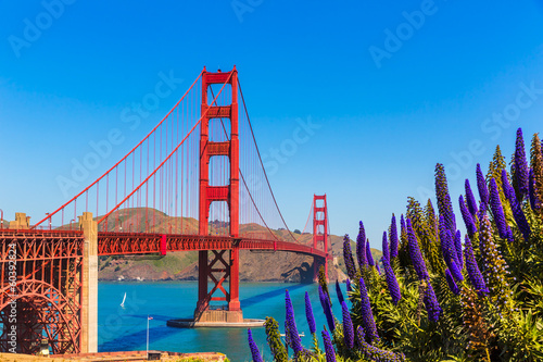 Golden Gate Bridge San Francisco purple flowers California
