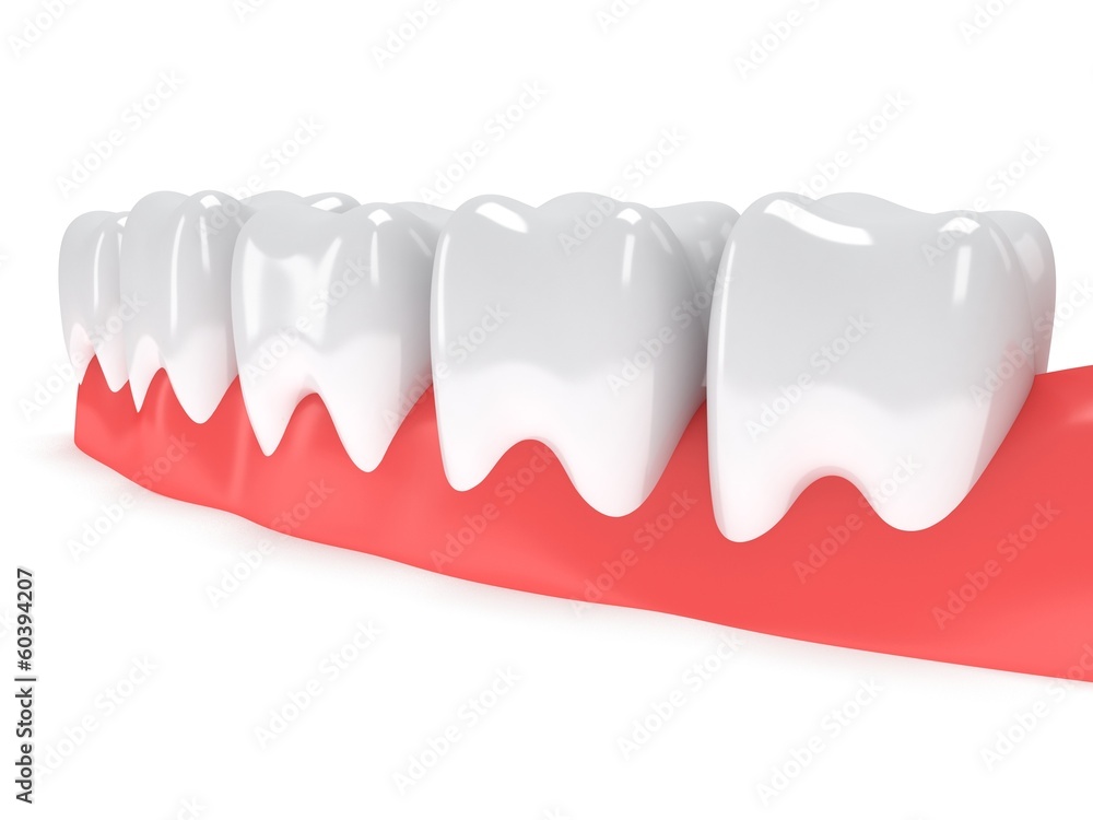 Obraz premium Teeth on gingiva isolated on white back.