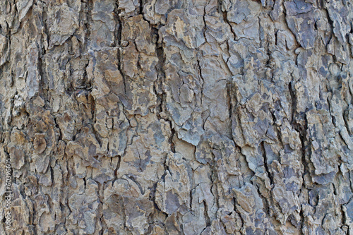 Hardwood texture
