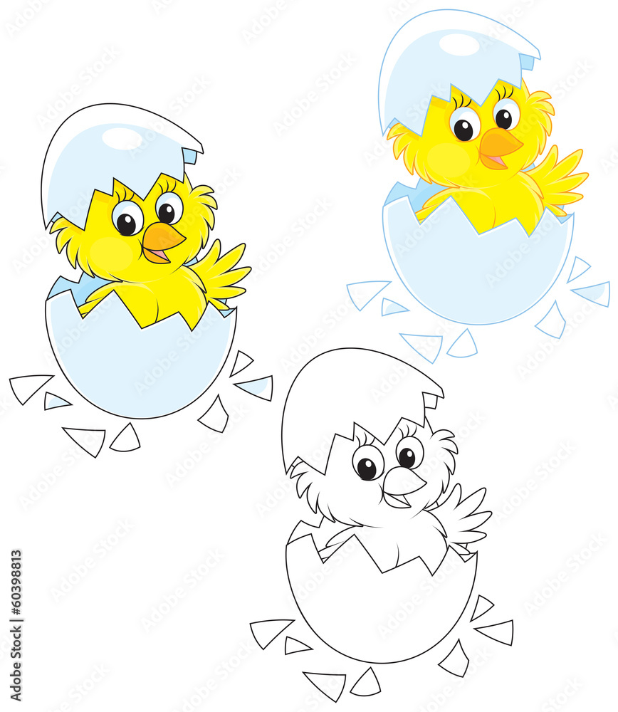 Hatched Chick Hatched Chick