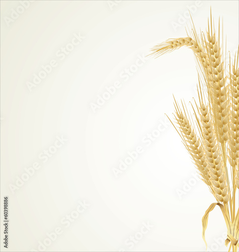 Wheat retro background