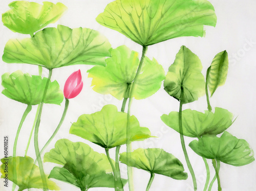 Watercolor painting of lotus leaves and flower