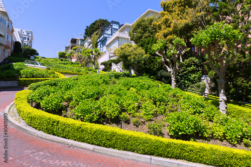 San Francisco Lombard Street gardens California