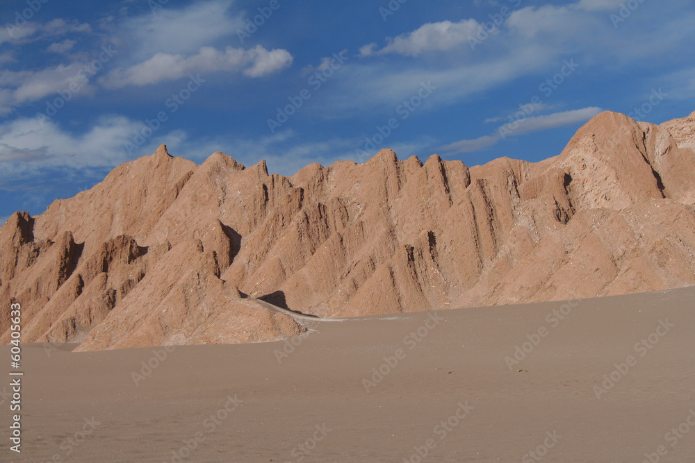 Naklejka premium Atacama desert