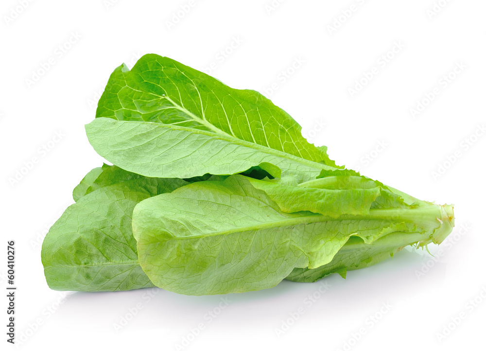 Cos Lettuce on White Background Cos Lettuce on White Background