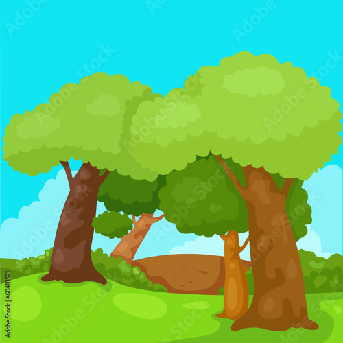 landscape trees in the jungle