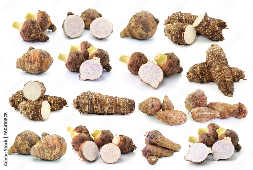 taro roots collection isolated on white background taro roots collection isolated on white background