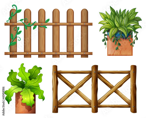 Wooden fence and potted plants