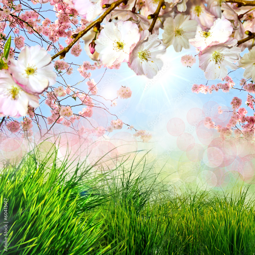Frohe Ostern: Frühlingshafter Hintergrund mit Kirschblüten