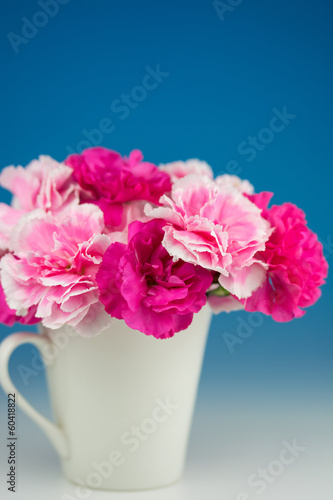 カーネーション