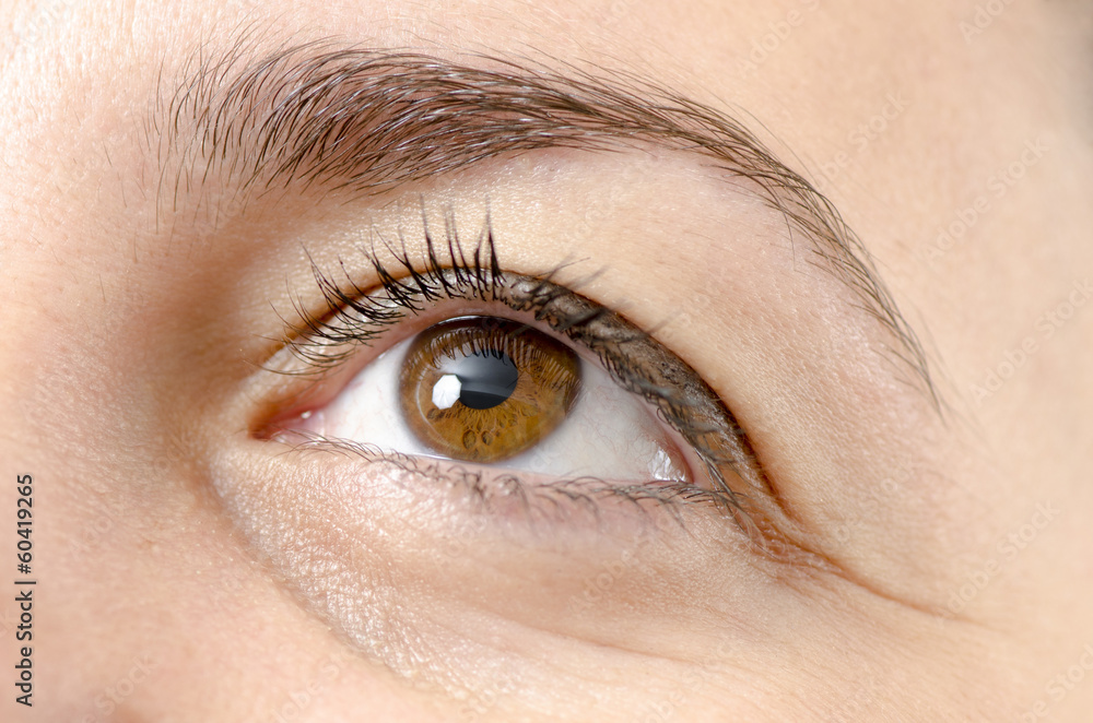 Obraz premium Woman's eye