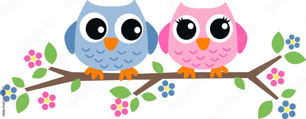 Obraz premium two sweet owls header picture