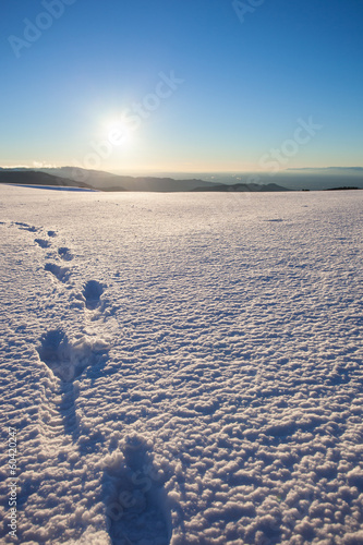 foot steps in snow