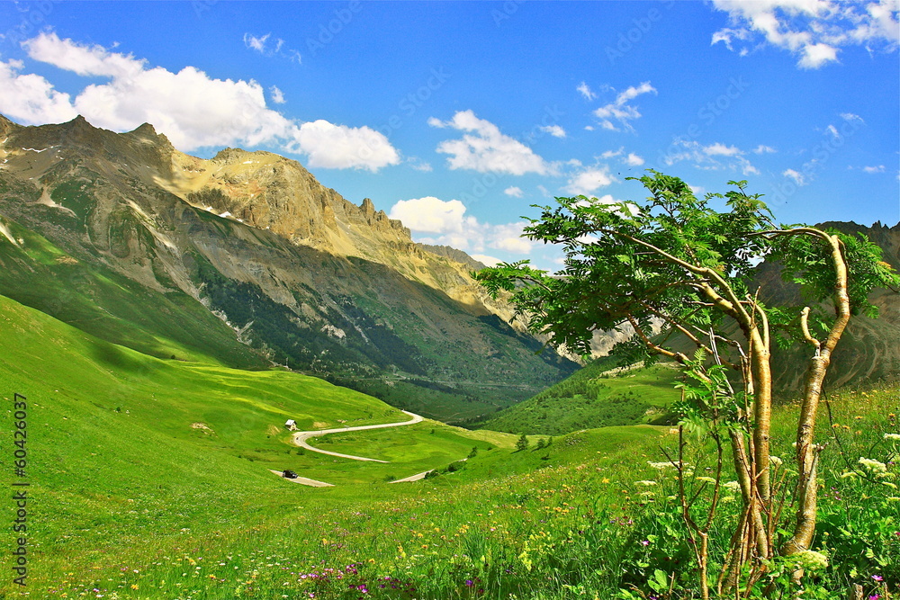 Obraz premium PAYSAGE HAUTES ALPES