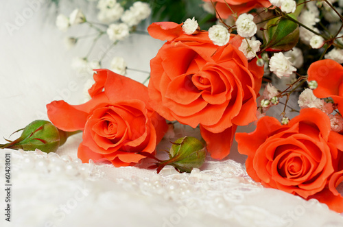 Orange roses on white