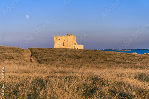 Costa salentina: riserva naturale di Torre Guaceto.-BRINDISI- photo