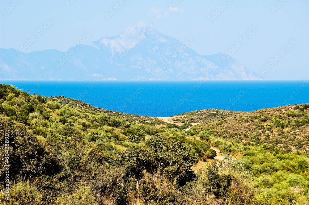 Seascape with mountain and forest