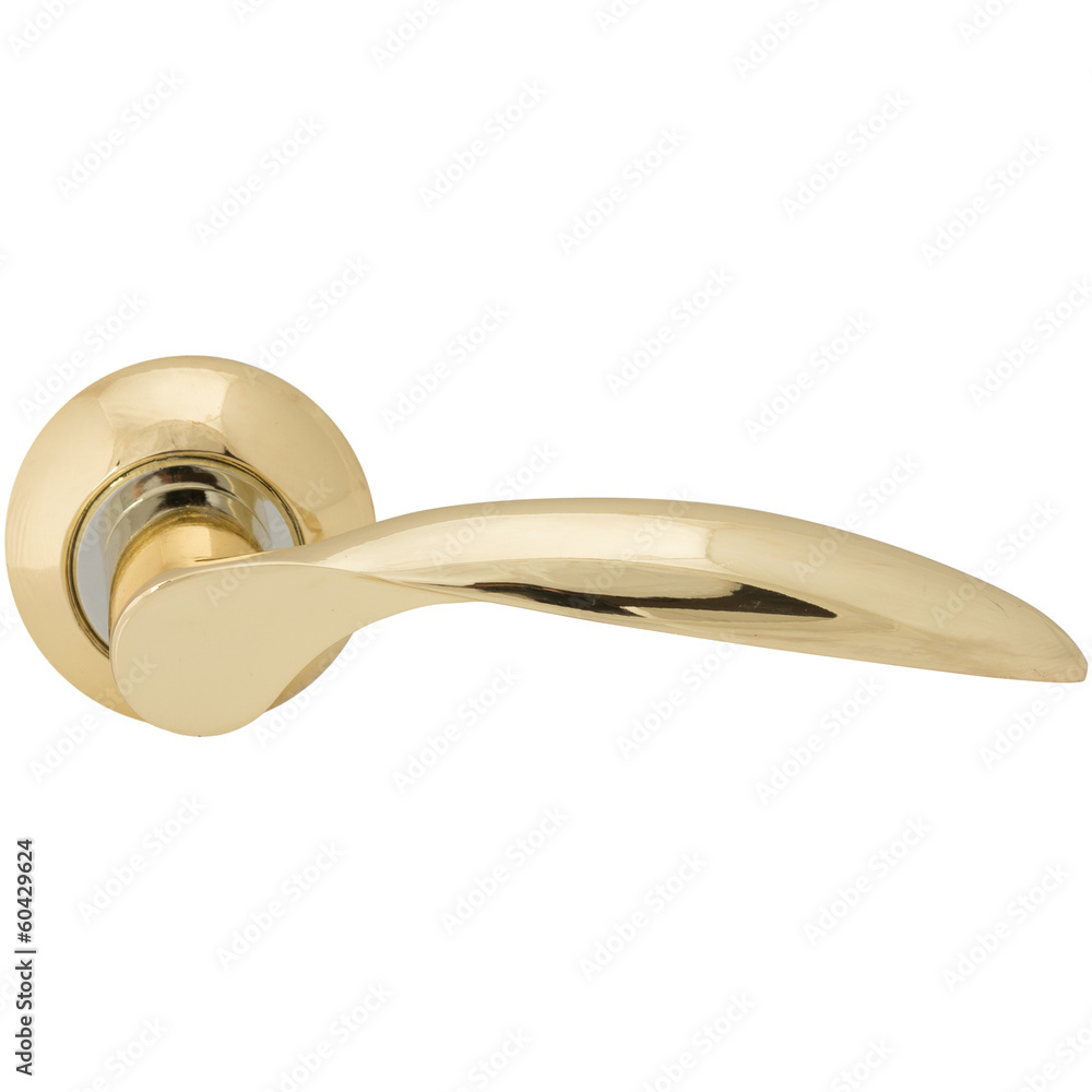 Fototapeta premium Classic door handle side view