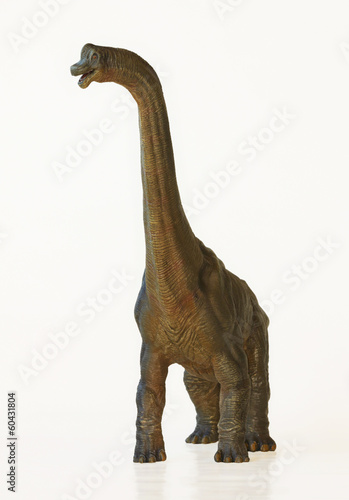 Fototapeta Naklejka Na Ścianę i Meble -  A Tall Brachiosaurus Dinosaur, or Arm Lizard