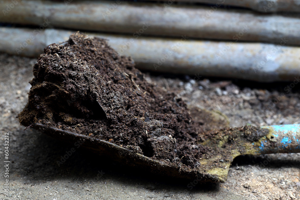Closeup of cow manure with shovel Closeup of cow manure with shovel