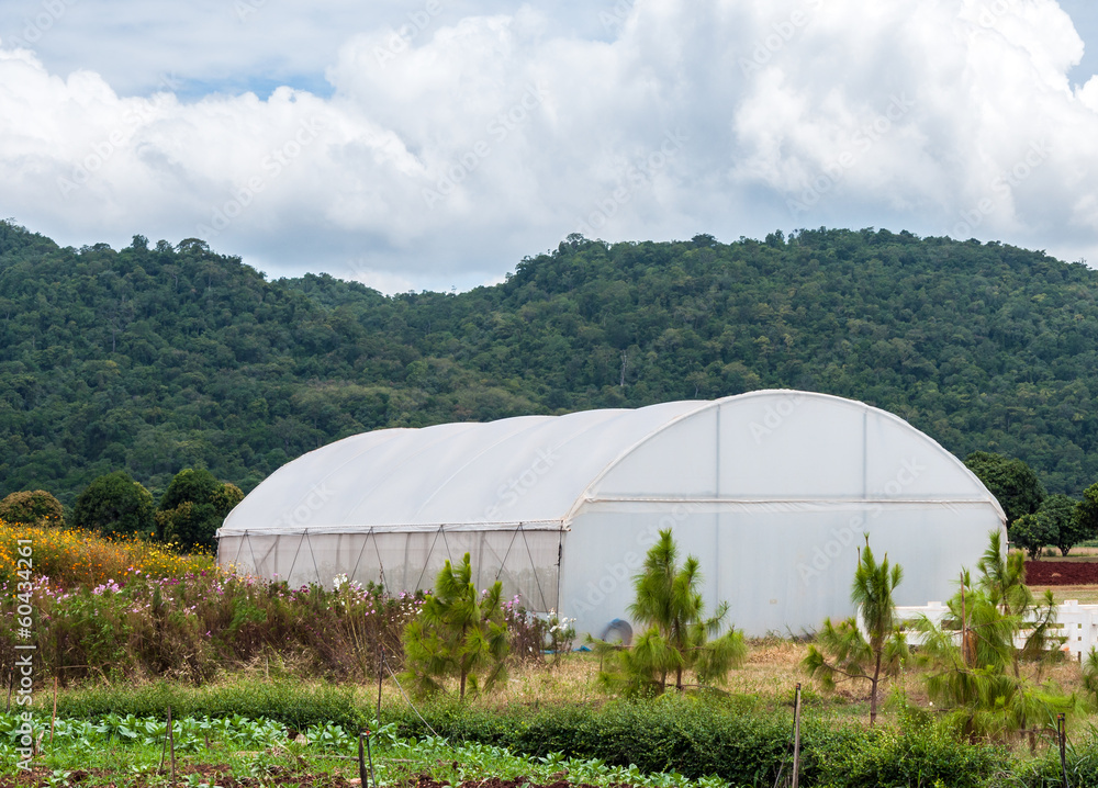 Small green house