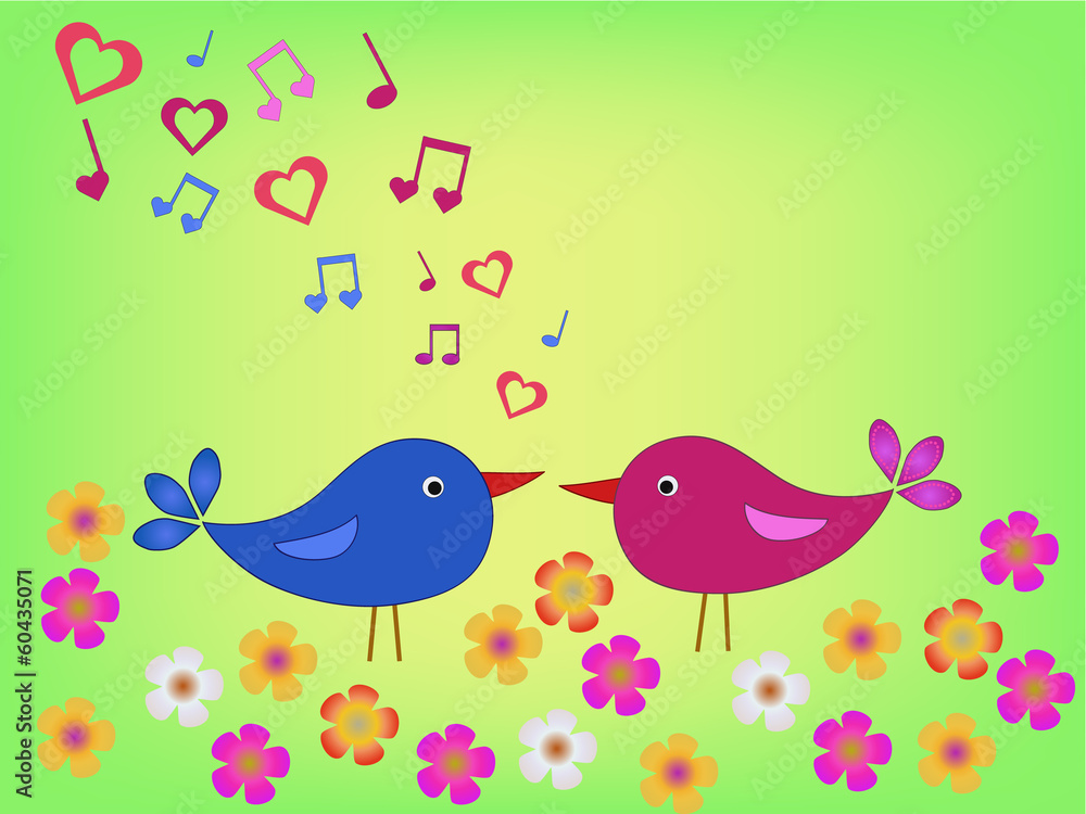 birds on meadow in love birds on meadow in love