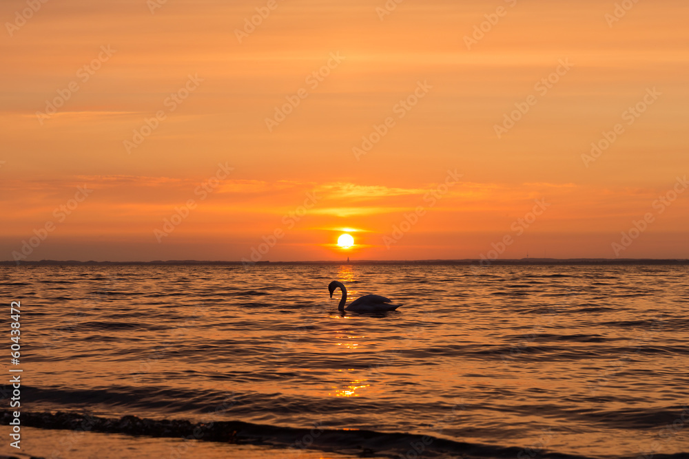Fototapeta premium Sonnenuntergang Ostsee 11