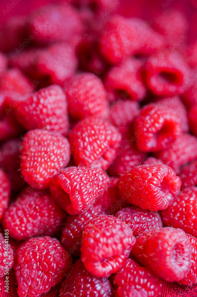 Closeup of fresh picked raspberries Closeup of fresh picked raspberries