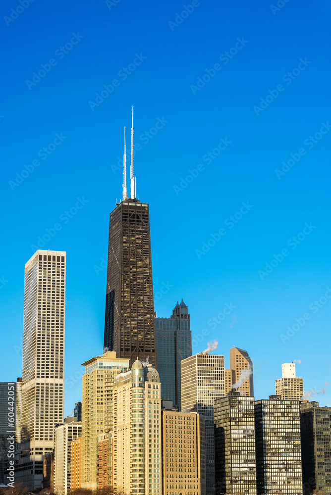 Vertical Chicago Cityscape