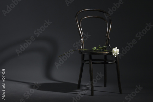 Retro chair and a white rose on a dark background.