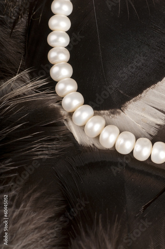 White pearls on feathers