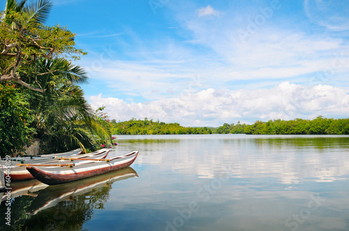 River, rainforest and pleasure boats