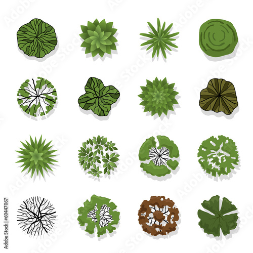 Trees top view for landscape vector illustration