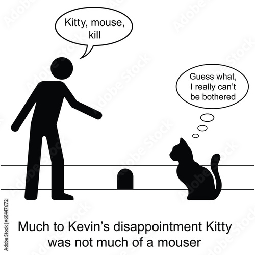 Photography Kevin found Kitty was not much of a mouser
