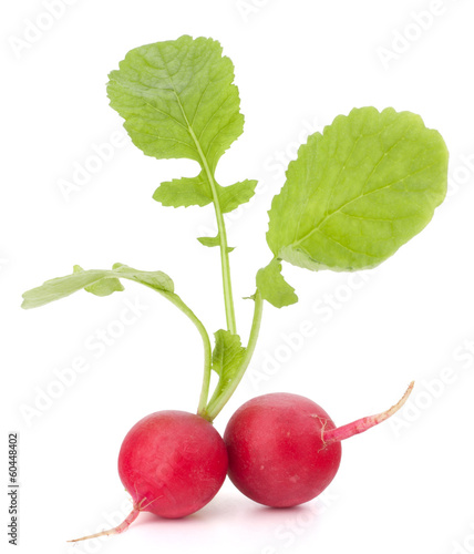 Small garden radish with leaves