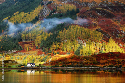 Autumn colours in Highlands  Scotland  Europe