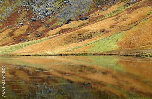 Autumn landscape in Highlands, Scotland, United Kingdom