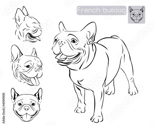 Line art_French bulldog
