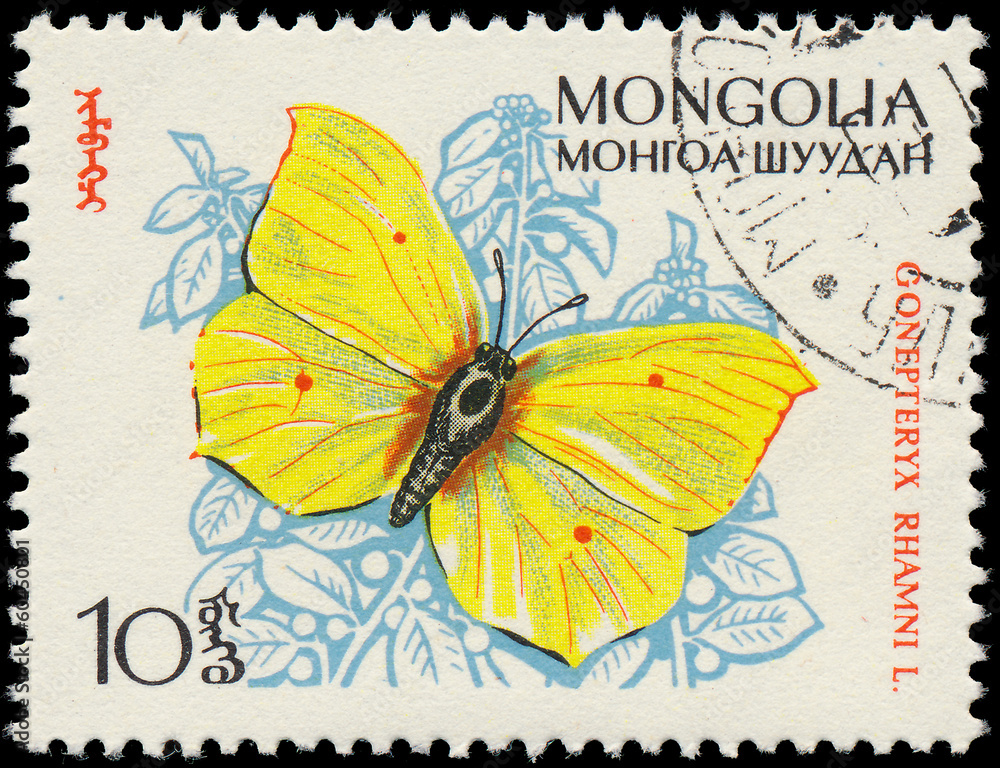 MONGOLIA - CIRCA 1963: A stamp printed in Mongolia shows butterf