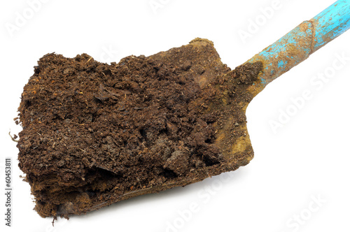 Slika na platnu Cow manure on a shovel