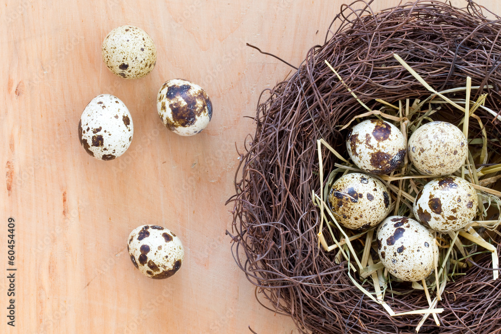 easter eggs easter eggs