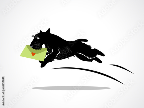 dog delivery