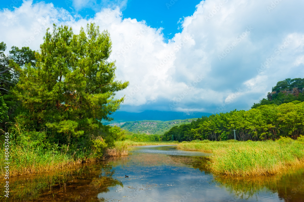 beautiful summer landscape and clouds beautiful summer landscape and clouds