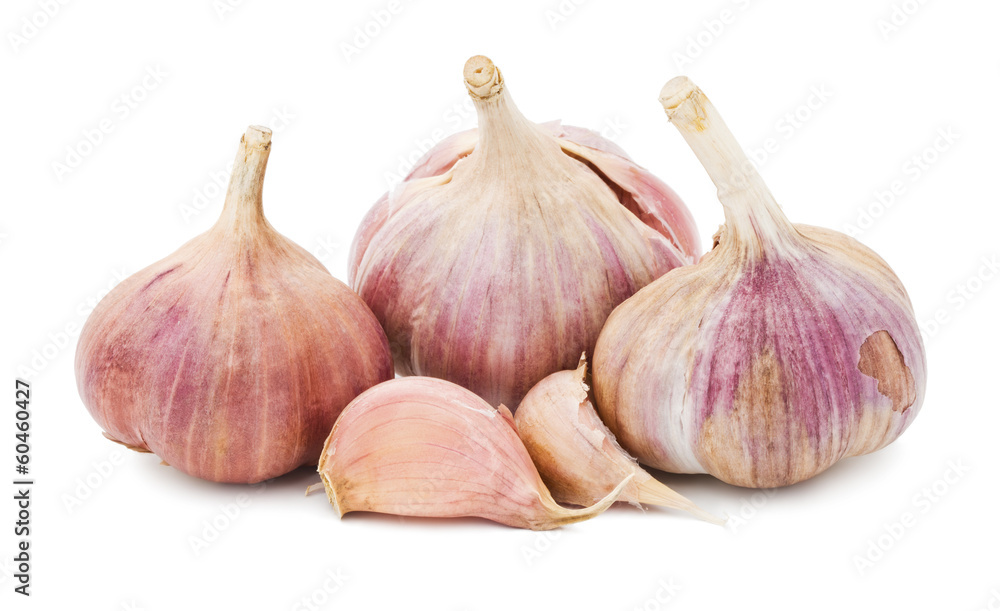 Fototapeta premium Garlic