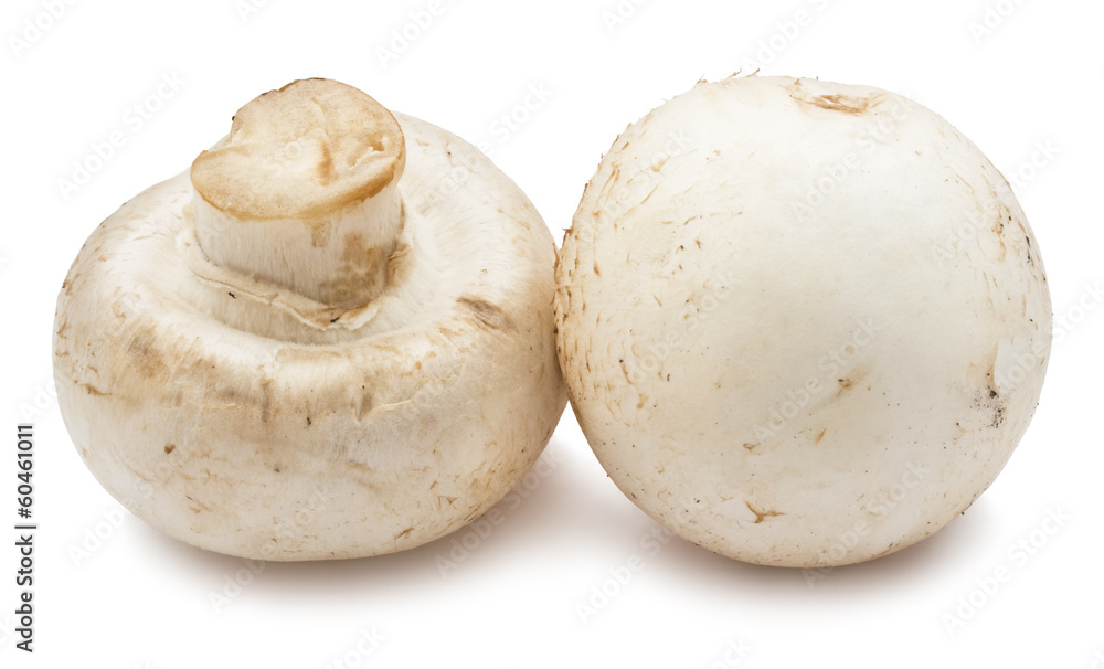 Champignon mushrooms