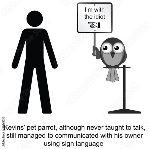 Kevin and his pet parrot cartoon