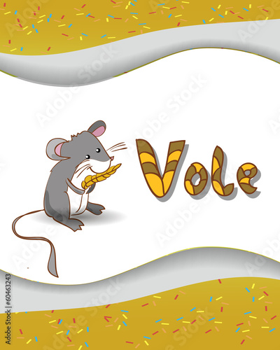 Animal alphabet letter V and vole with a colored background