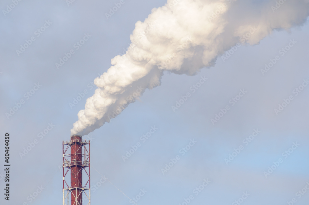 Pipe plant against the blue sky