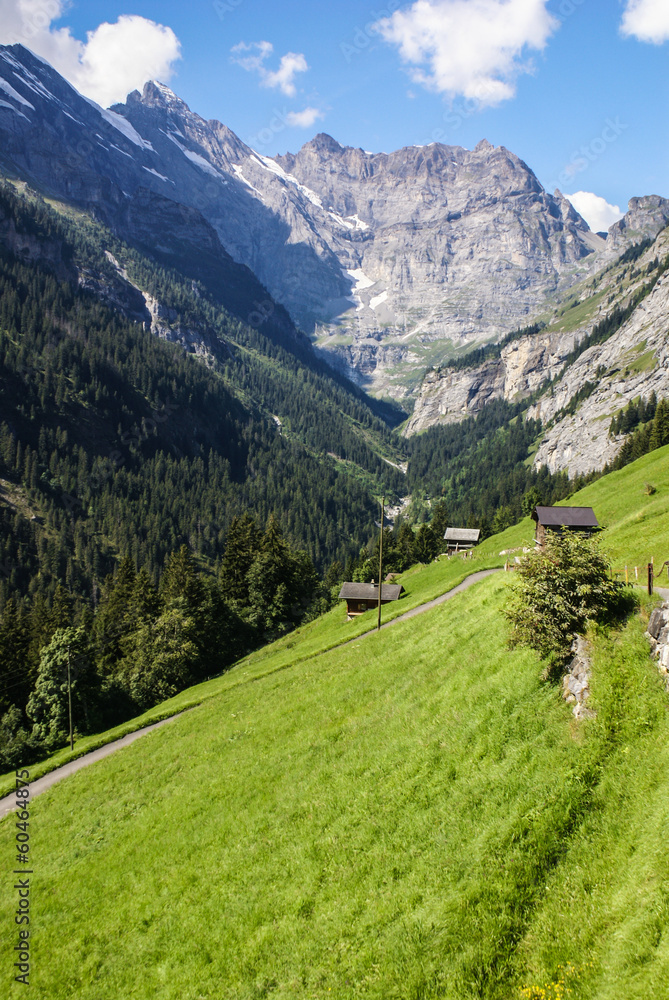 View of the Swiss alps: Beautiful Gimmelwald village, central Sw