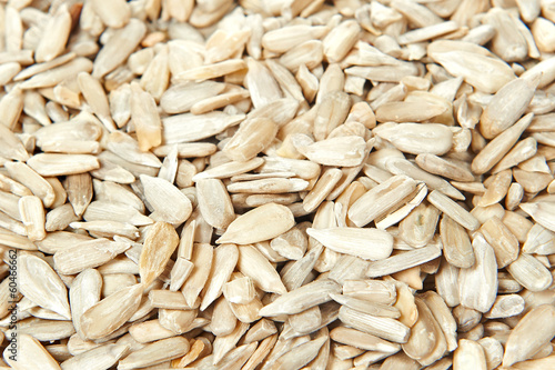 Obraz na plátne Sunflower kernel